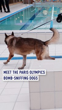 Meet the Paris Olympics bomb-sniffing dogs