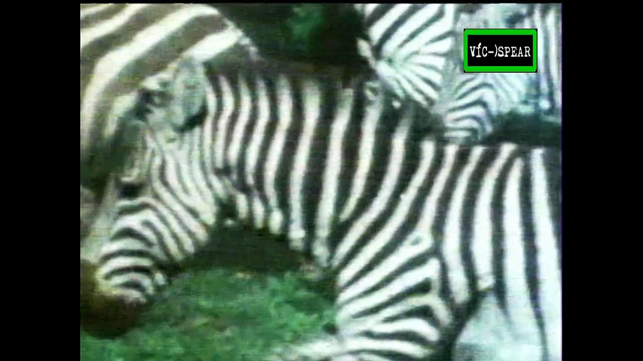 Diseño de la Naturaleza: Las formas del futuro - Documental (1993) - Español Latino *Ep. 6