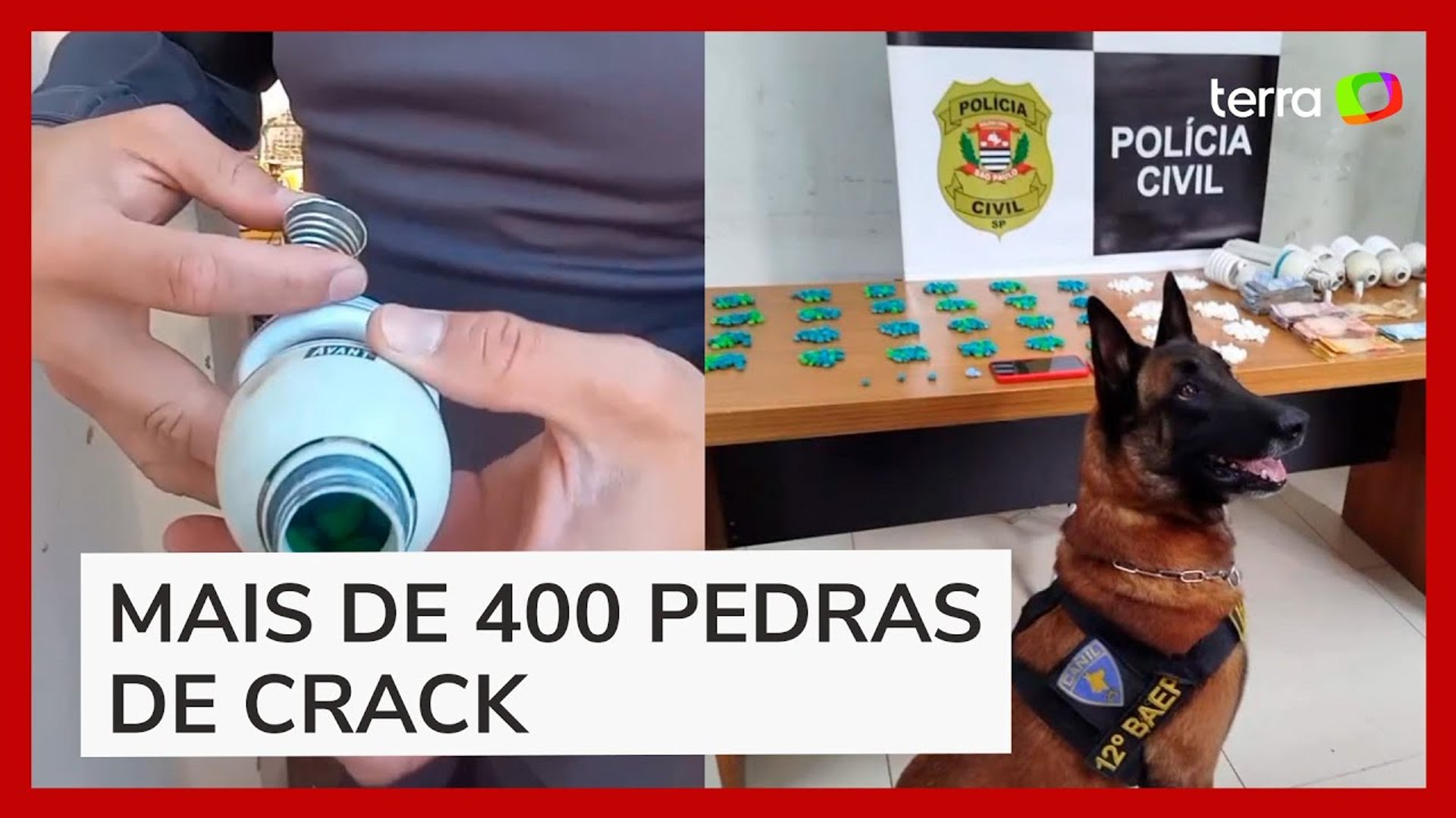 Cachorro da PM encontra drogas escondidas em lâmpada em bar no interior de SP