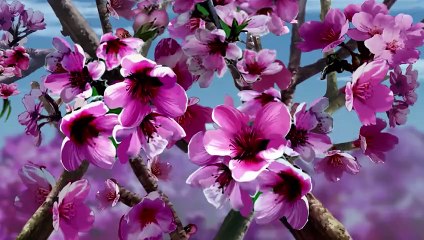 TAM QUỐC DIỄN NGHĨA 2009 | Tập 49: LỤC XUẤT KỲ SƠN #Cartoon #4K