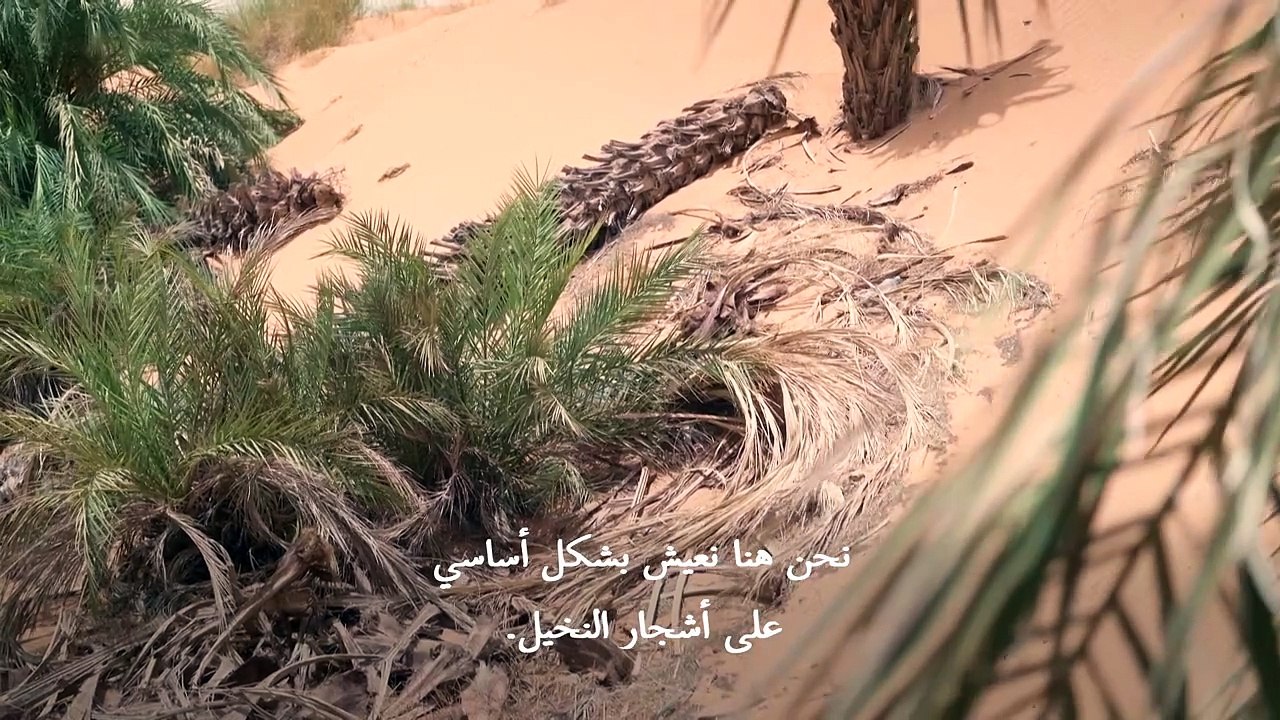 الجفاف والتصحر الناجمان عن التغير المناخي يجتاح...