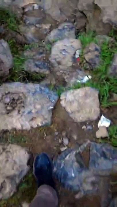 VID-20240705-WA0020