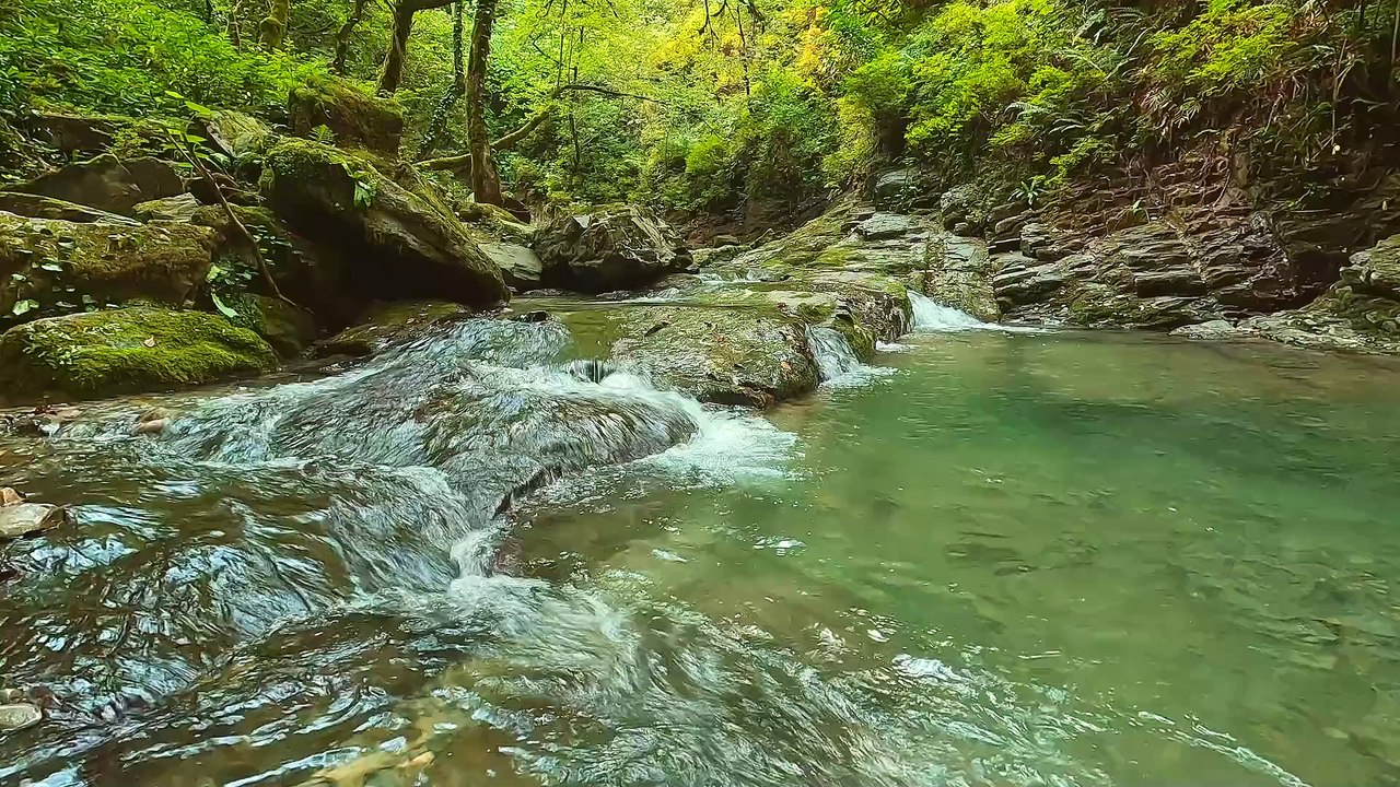 Nature Beauty
