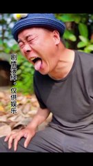 funny pets videos | most viral tiktok