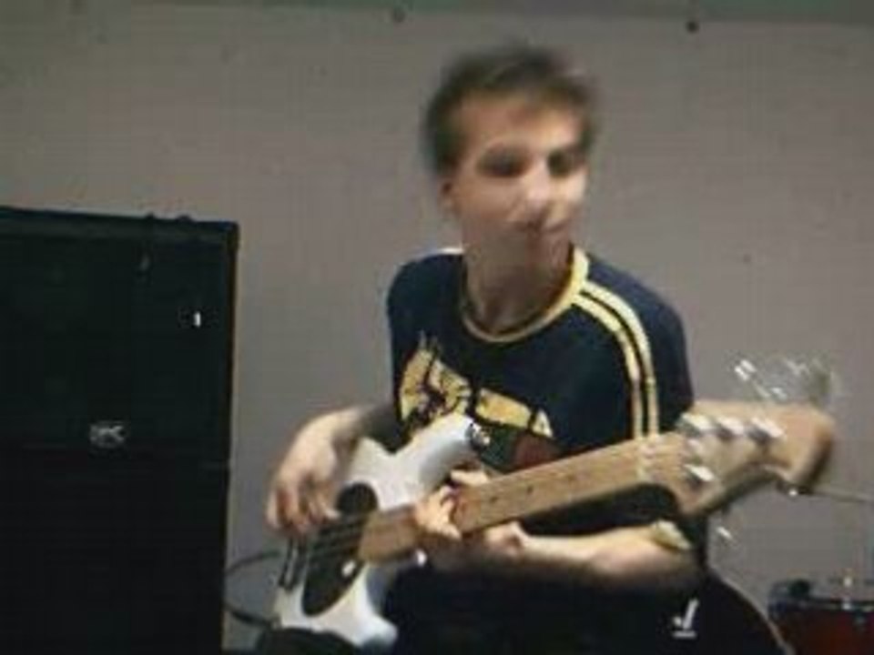 RHCP - Subway to Venus [2nd Bass Cover]