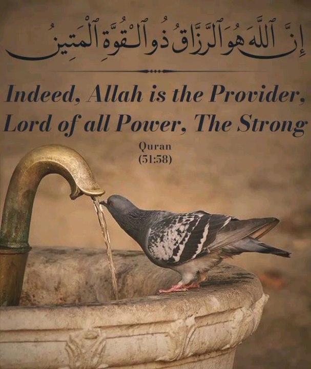 Quran quotes islamic video