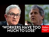 Sherrod Brown Pushes Fed Chair Jerome Powell: ‘You Must Act Immediately To Protect Americans Jobs’