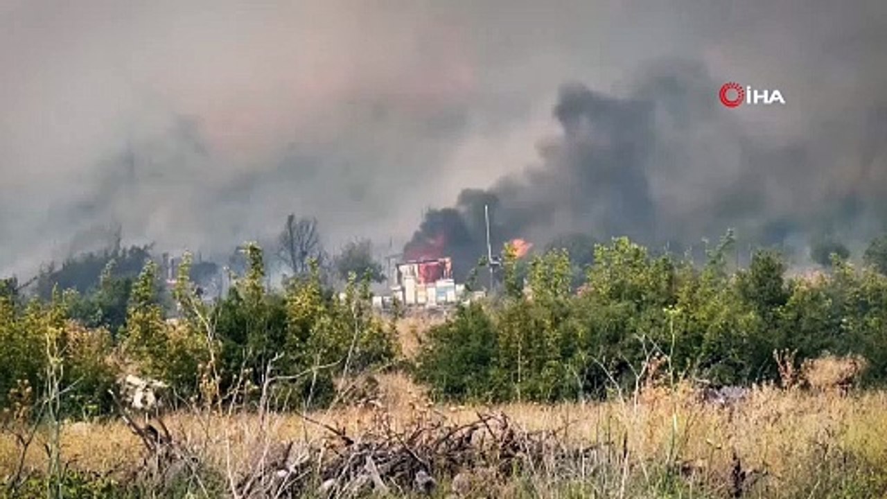 Bursa'da çıkan orman yangını kontrol altına alındı