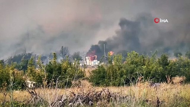 Bursa'da çıkan orman yangını kontrol altına alındı