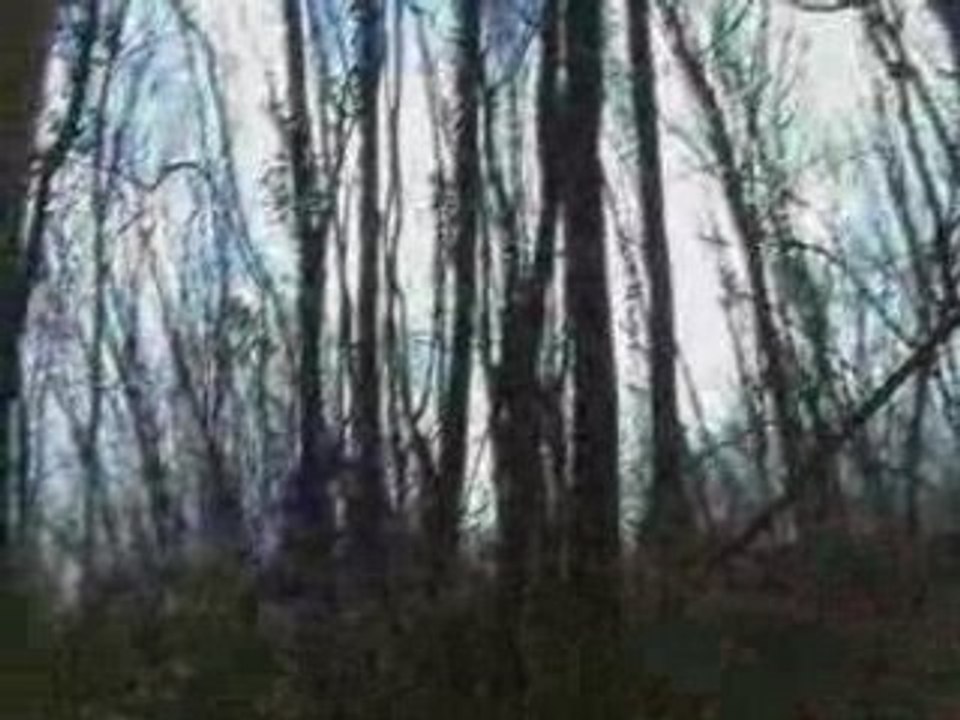 enduro La descente de kevin enfin moi