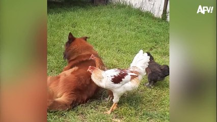 Karma is Best Served Instantly  Funny Fails | instant karma fails | instant karma police | try to not laugh challenge | Funny video 2024 | Comedy video | Entertainment