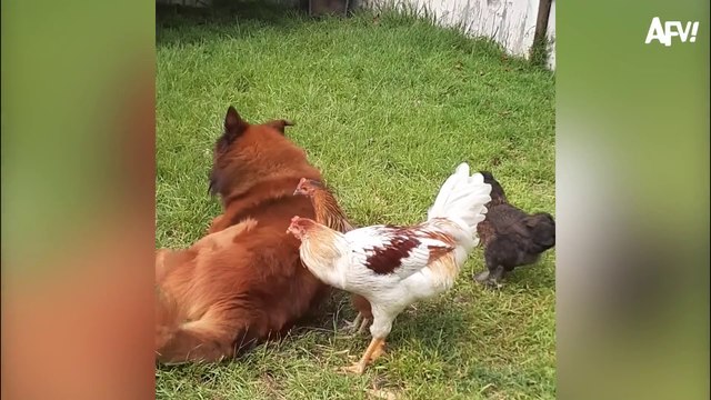 Karma is Best Served Instantly Funny Fails | instant karma fails | instant karma police | try to not laugh challenge | Funny video 2024 | Comedy video | Entertainment