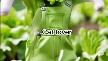 Ai dancing cat