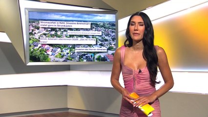 Neda Peemüller TAFF (21/07/2024)