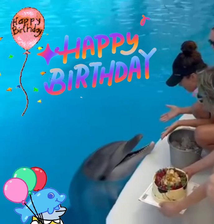 Happy birthday dolphino