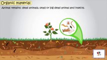 Soil - Soil Erosion