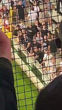 Comportements racistes et nazis des supporters de Bruges lors de la Supercoupe