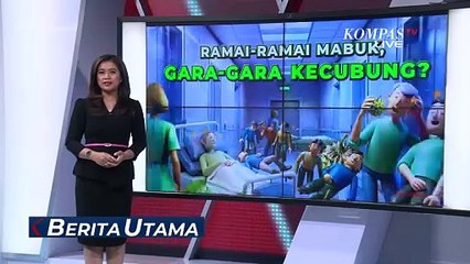 Marak Puluhan Warga Mabuk Gara-Gara Kecubung, Polisi Periksa Kandungan di Laboratorium!