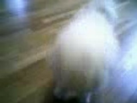 Cycy et teq jou balle