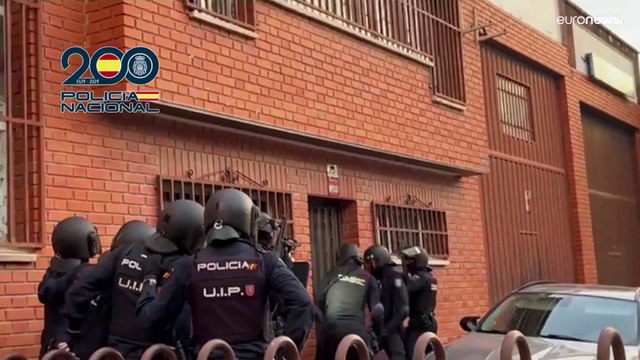 5 متّهمين و1000 نبتة ماريجوانا في قبضة الشرطة الإسبانية