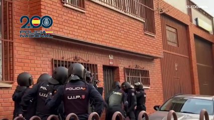 5 متّهمين و1000 نبتة ماريجوانا في قبضة الشرطة الإسبانية