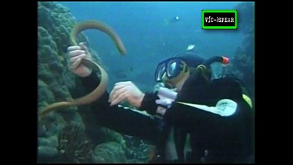 Salvajes y Peligrosos: Mares de Tiburones - Documental (1999)- Español Latino - Episodio 1