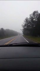 Mister Simpatia de Joinville morre em acidente de trânsito no Norte de SC