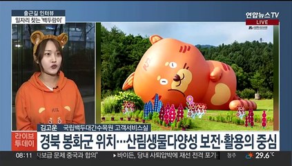 [출근길 인터뷰] 백두대간수목원 '백두랑이'가 일자리 찾습니다