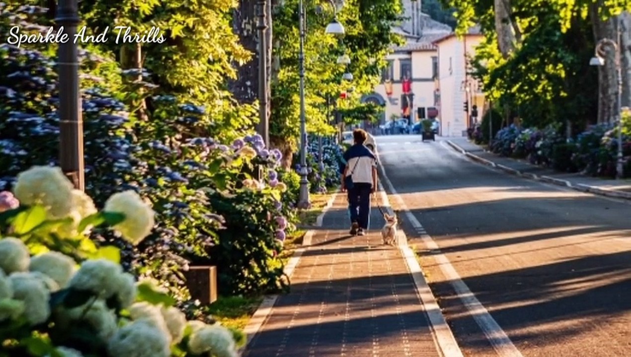 1 Hour Meditation Music for Positive Energy | Relax Mind Body | Chakra Balancing | Healing Music