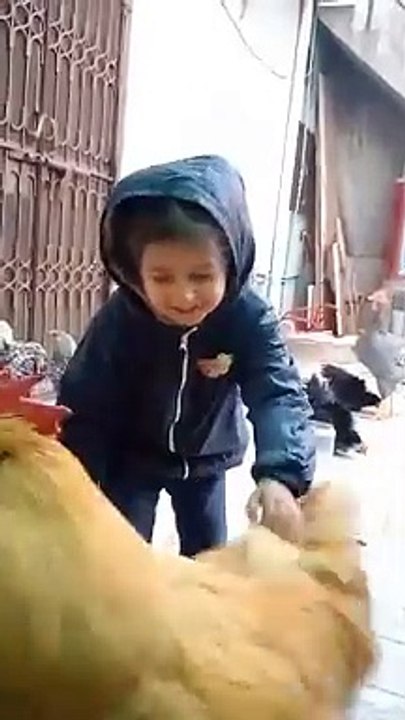 Lovely cute hen baby