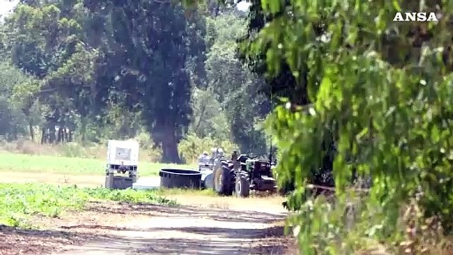Agropontino ad un mese dalla morte di Satnam A casa tutti lavoratori senza permesso di soggiorno