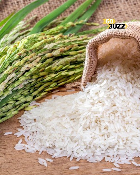 ការ​នាំ​ចេញ​ផលិតផល​កសិកម្ម​ មាន​កំណើន​ខ្លាំង ​មិន​ធ្លាប់​មាន​ក្នុង​រយៈពេល​៥​ឆ្នាំ