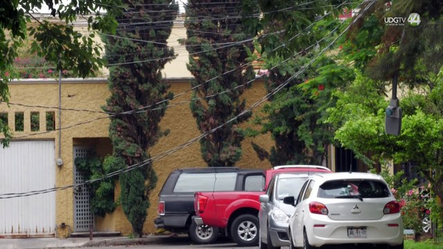 Alcalde interino exhorta a no pagar a funcionarios por poda de árboles en riesgo