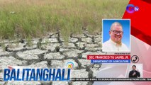 Panayam kay Sec. Fransisco Tiu Laurel Jr. ng Department of Agriculture | Balitanghali