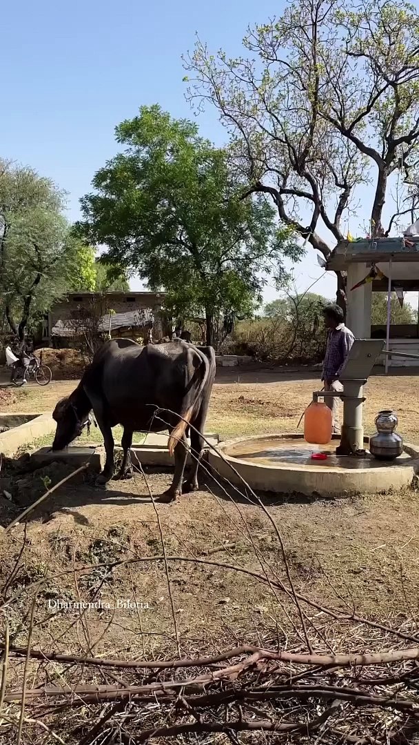 Entertainment funny and comedy videos