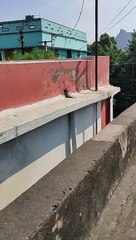 21 October 1:59 Pm 2023 Northern Winds Blue Clear Sky