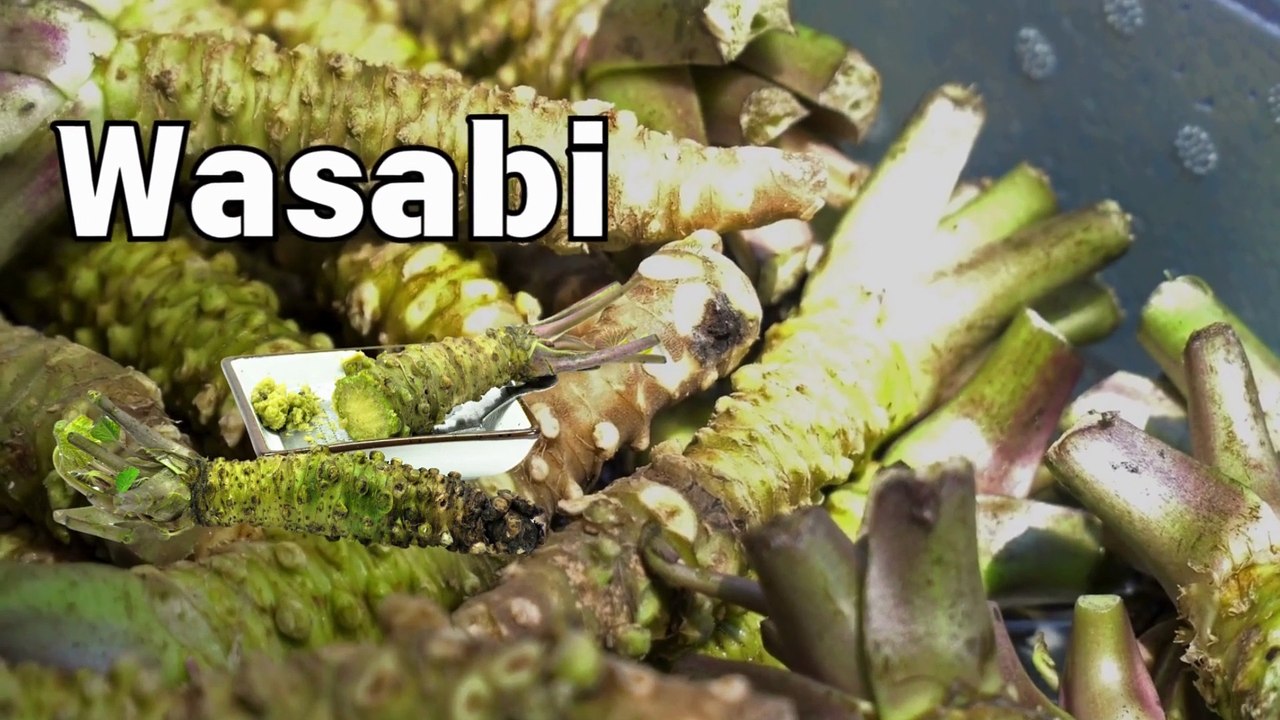 W is for Wasabi  Fun and Educational ABC Poem for Kids  Learn Alphabet with Vegetables
