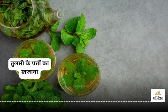 सुबह-सुबह भूखे पेट 5 तुलसी के पत्ते खाने के फायदे जानकर हैरान रह जाएंगे आप