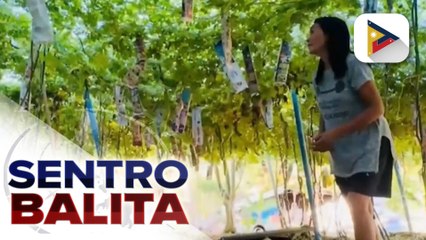 DND, nilinaw na fake at malisyoso ang video na kumalat sa social media laban kay PBBM