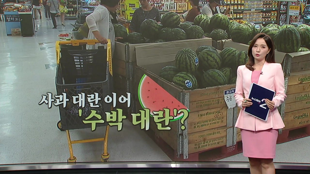 "수박 맹맹, 환불 가능한가요?"...'수박 대란' 오나? [앵커리포트] / YTN