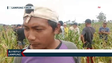 Descargar video: Geger! Warga Temukan Mayat dalam Karung di Kebun Jagung