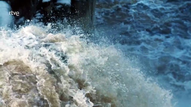 Agujeros Negros: Misterios del Cosmos y Su Impacto en la Vía Láctea