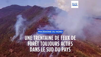 Macédoine du Nord : une trentaine de feux de forêt ravagent le Sud du pays
