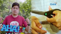 Paano nagiging kaliwete ang isang tao? | AHA!