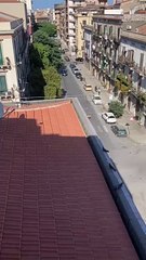 Furto panchina palermo