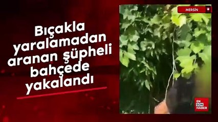Mersin'de bıçakla yaralamadan aranan şüpheli bahçede yakalandı