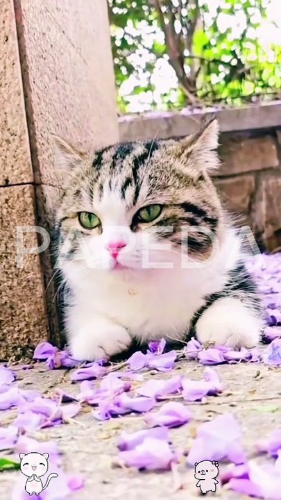 FUNNY ANIMALS MOMENT 2023 PART 1