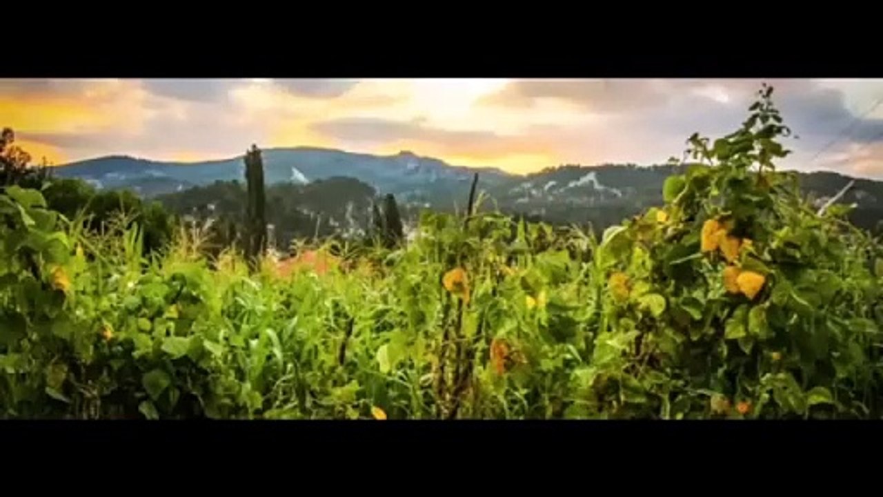 TRANDING INSTAGRAM SONG LOFI MASHUP SONG