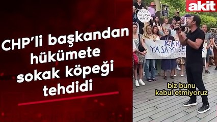 Dertleri it değil sen hala anlamadın mı? İpini koparan CHP’liden küstah tehdit