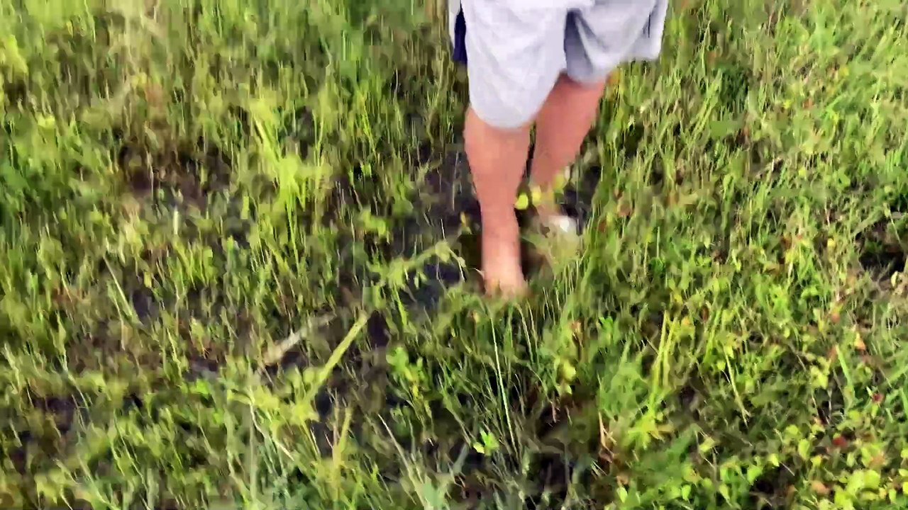 Thả diều sáo mắt cú 1 mét 7 thì nghe tin học sinh mất dép và cái kết ntn